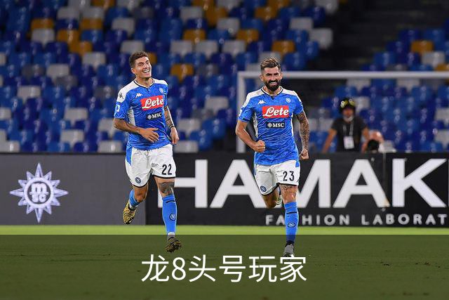 龙8头号玩家 公司简介